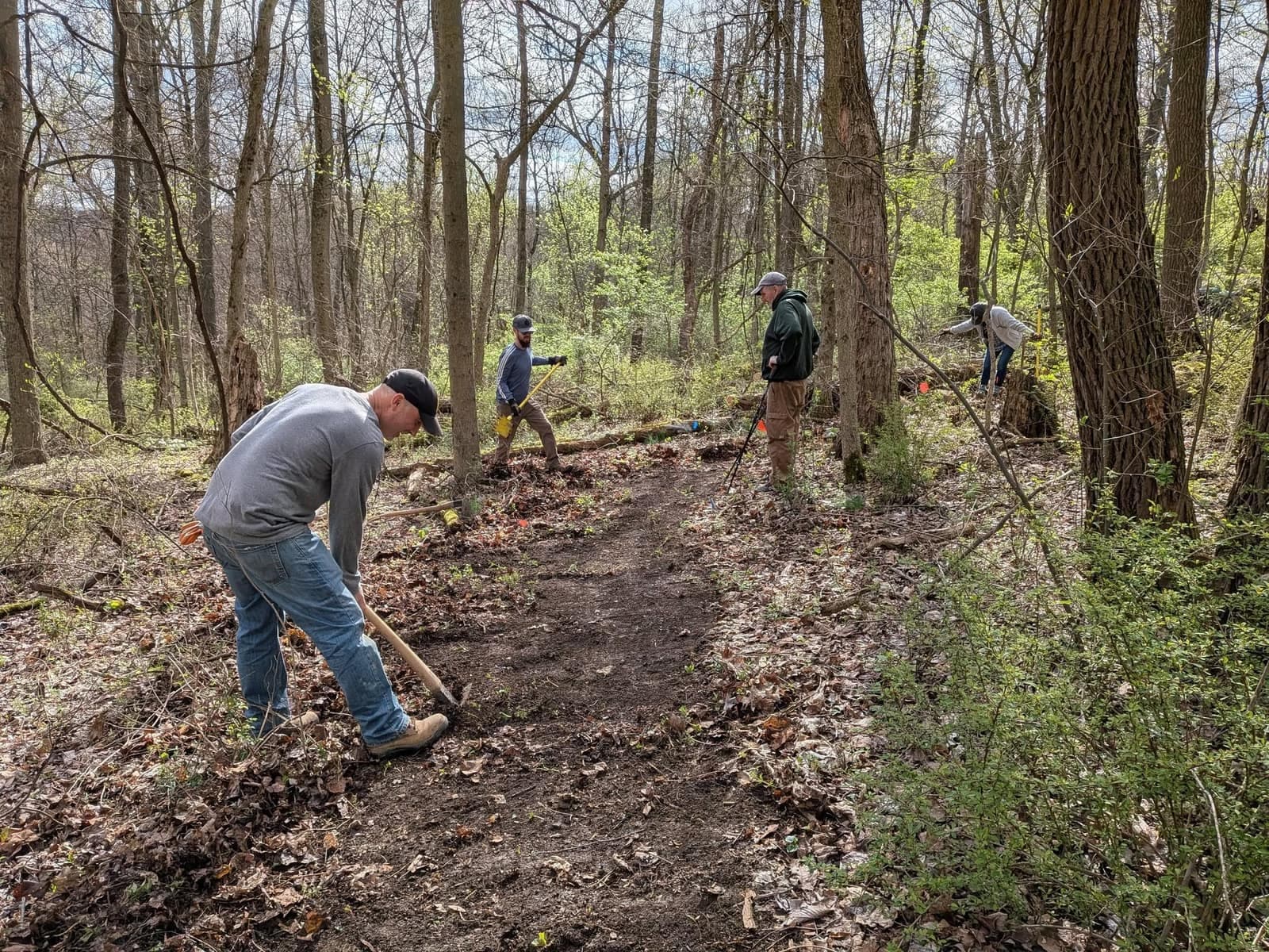 Volunteers digging and shaping a new stretch of trail as the woods green up in spring