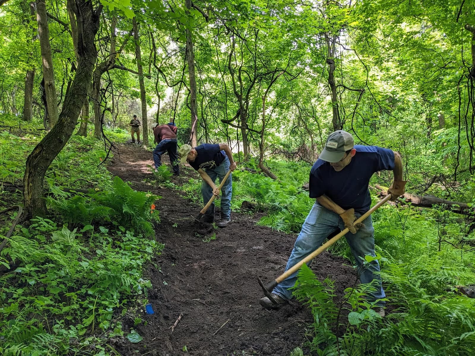 Friends of Norwin Trails volunteers digging and grading a new section of trail through green summer woods